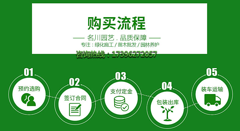 园林绿化苗木购买流程_苗木采购方法_园林绿化工程苗木